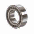 Rollway Bearing Cylindrical Bearing – Full Complement Roller- Straight Bore - Unsealed NCF 3006 CV